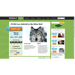 Groupon Deals